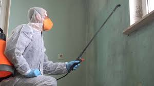 Best Asbestos and Lead Testing During Mold Inspection  in Doa Ana, NM